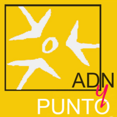 09 ADNyPUNTO
