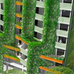 21 - PIEL VERDE
