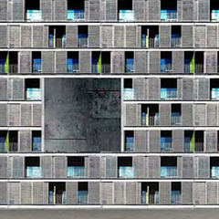 28 - MLG-HLES