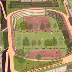 06 - PLAZA CÍVICA MAR DE CRISTAL - UNA CARRERA ENTRE LAS COPAS DE LOS ÁRBOLES