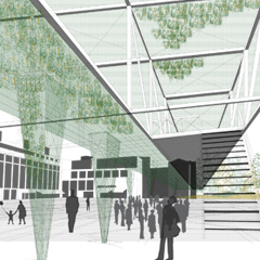 10 - PLAZA DE LA REMONTA, TETUÁN - COMO CONSTRUIR UN BOSQUE EN UNA PLAZA