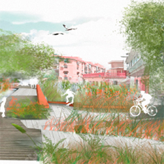 12 - PLAZA DE LA EMPERATRIZ, CARABANCHEL - UN PASEO POR EL JARDÍN DE LA PLAZA DE LA EMPERATRIZ