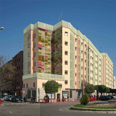 15 - CAMALEÓN