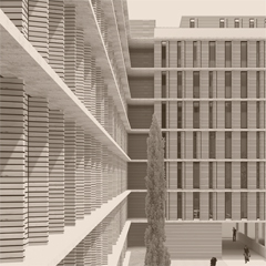 26 - LIGNUM VIVENDI